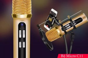 Mic Livestream C11