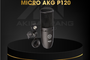 Micro AKG P120