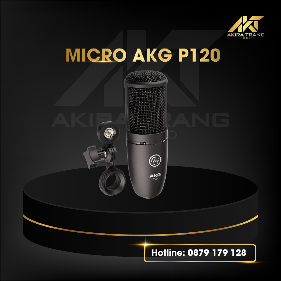 MICRO-AKG-P120