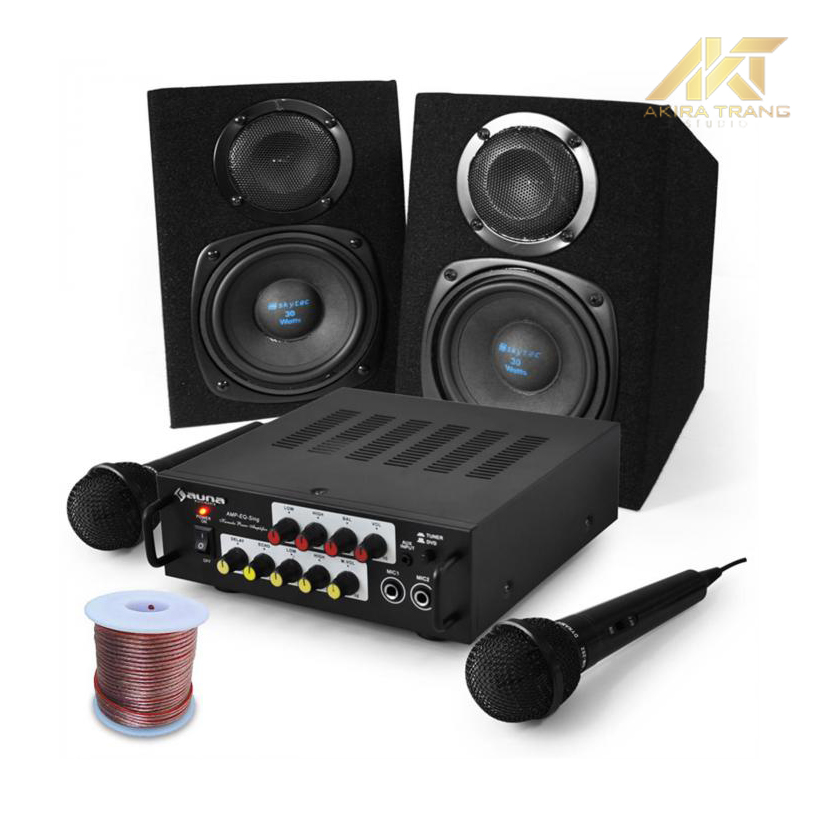 Karaoke set. Alctron u16k-mk3. Колонка с усилителем для микрофона. Аппаратура для диджея колонки. Аппаратура для микрофона.